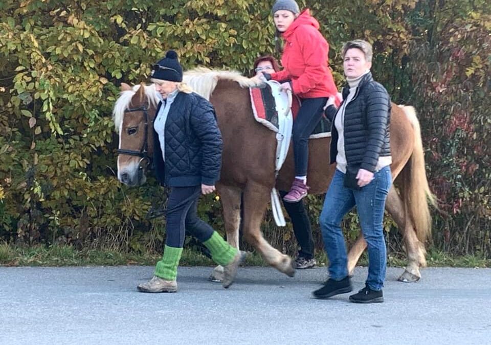 Fotogalerie: Den s hipoterapií