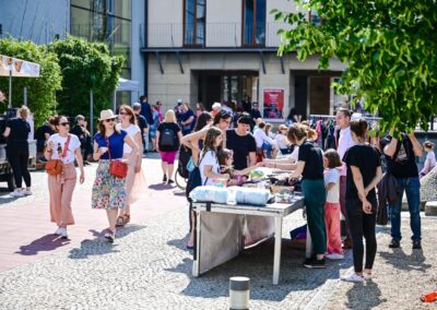 odpoledne s usmevem festival dokoran velvet smile mestske divadlo brno