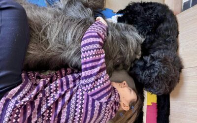 Po zimní pauze zpátky za koníčky a přivítali jsme štěňátko Nanda